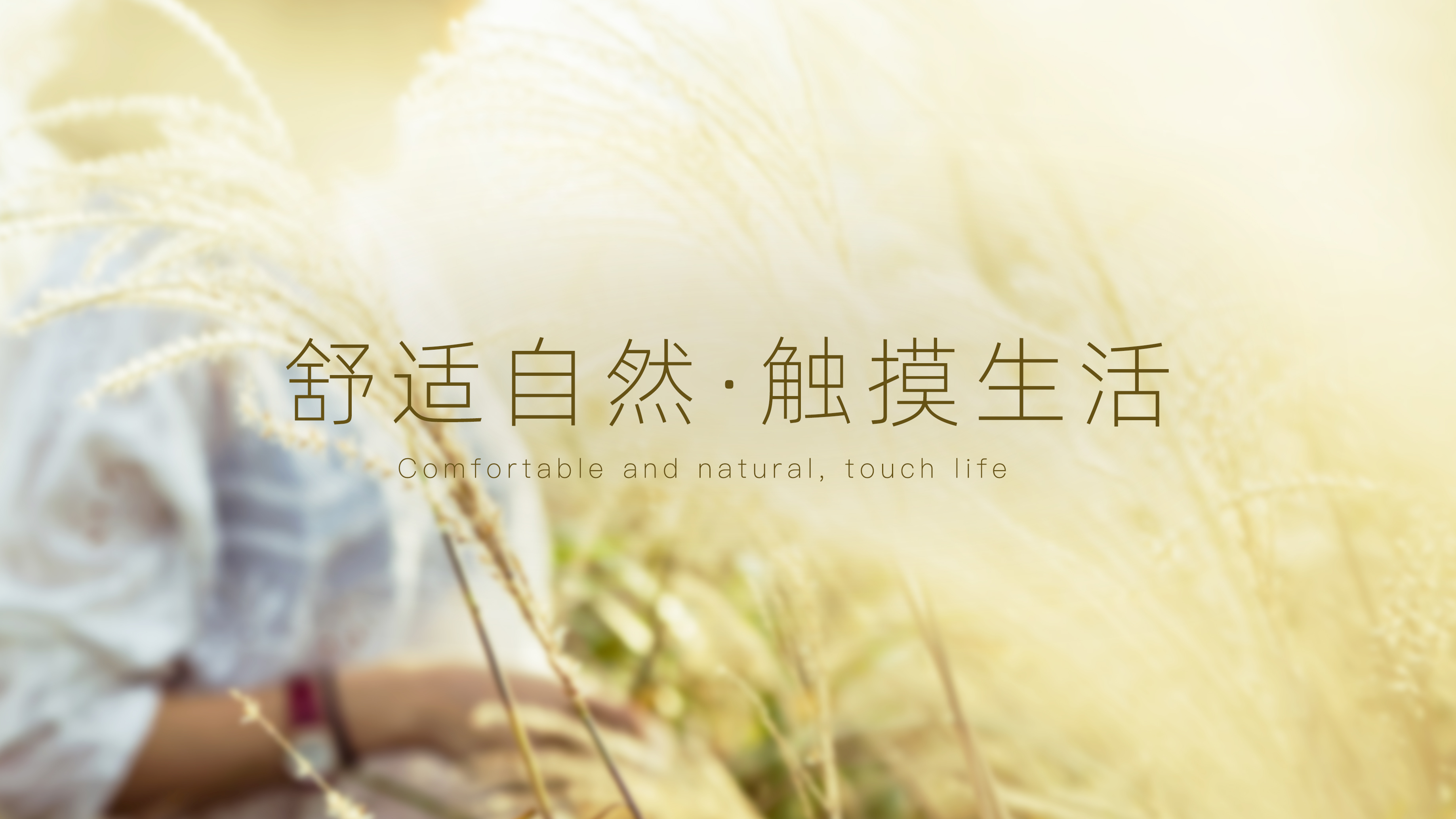 球盟会直播在线